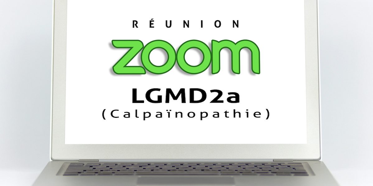 Zoom LGMD2A | Calpainopathie | GI LGMD