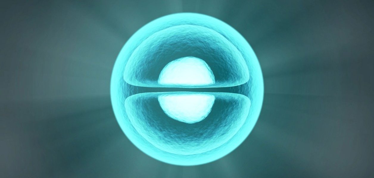 Update de ML Bio Solutions sur le développement du BBP-418 (Ribitol) | Blog GI LGMD