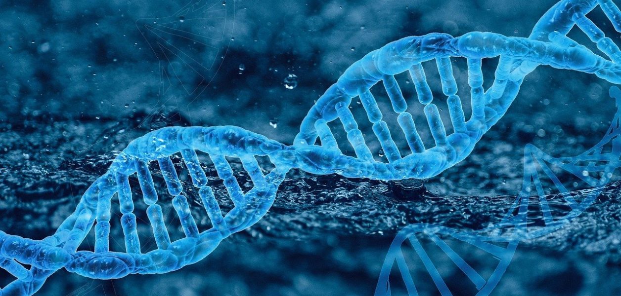 Demande d'essai clinique de thérapie génique pour la LGMDR9:2i déposée